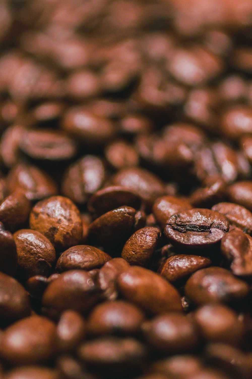 Roasted coffee beans, photographed in warm close-up
